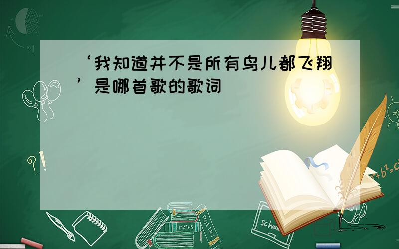 ‘我知道并不是所有鸟儿都飞翔’是哪首歌的歌词