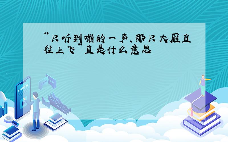 “只听到嘣的一声,那只大雁直往上飞”直是什么意思