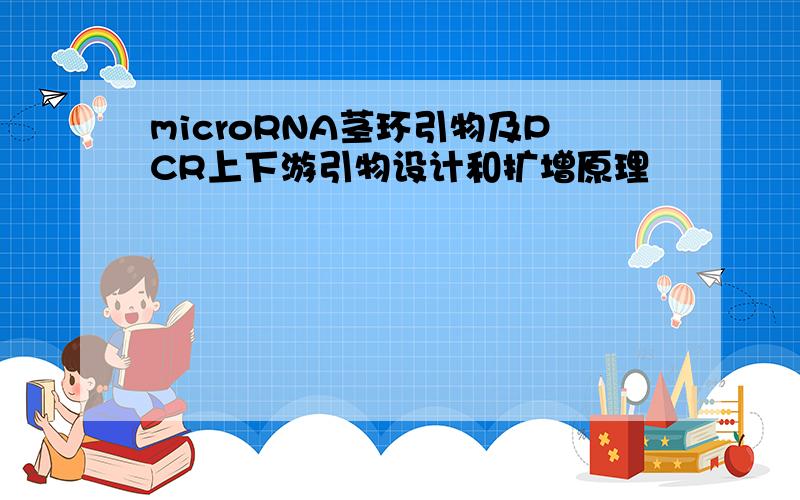 microRNA茎环引物及PCR上下游引物设计和扩增原理