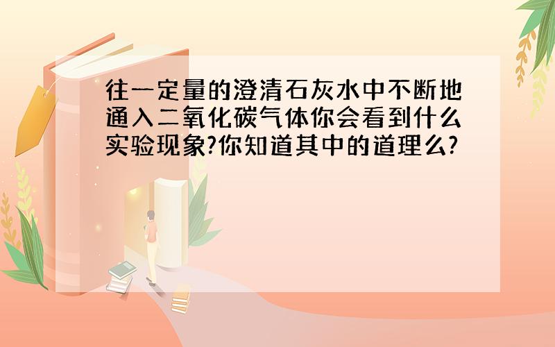 往一定量的澄清石灰水中不断地通入二氧化碳气体你会看到什么实验现象?你知道其中的道理么?