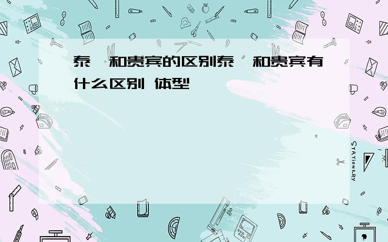 泰迪和贵宾的区别泰迪和贵宾有什么区别 体型