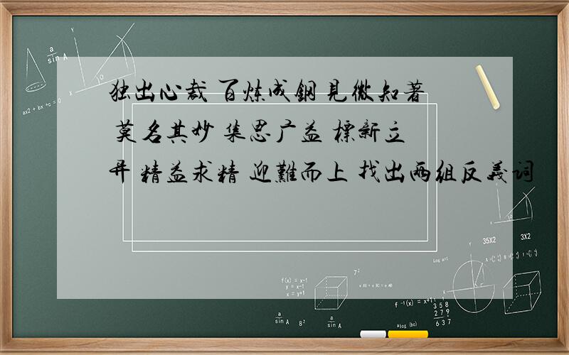 独出心裁 百炼成钢 见微知著 莫名其妙 集思广益 标新立异 精益求精 迎难而上 找出两组反义词