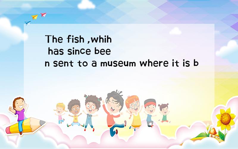 The fish ,whih has since been sent to a museum where it is b