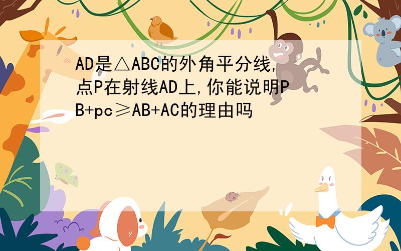 AD是△ABC的外角平分线,点P在射线AD上,你能说明PB+pc≥AB+AC的理由吗