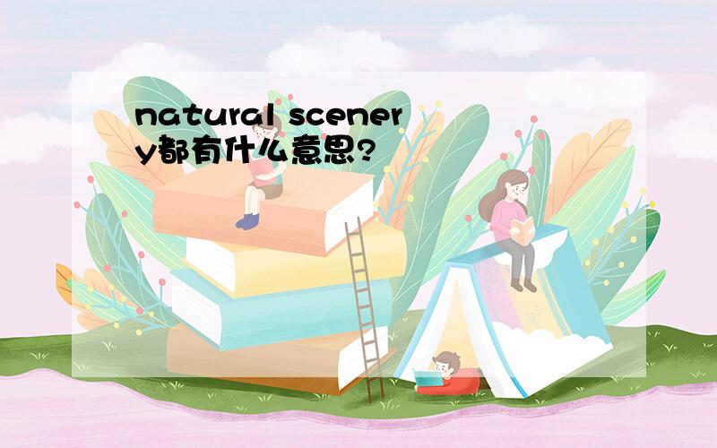 natural scenery都有什么意思?