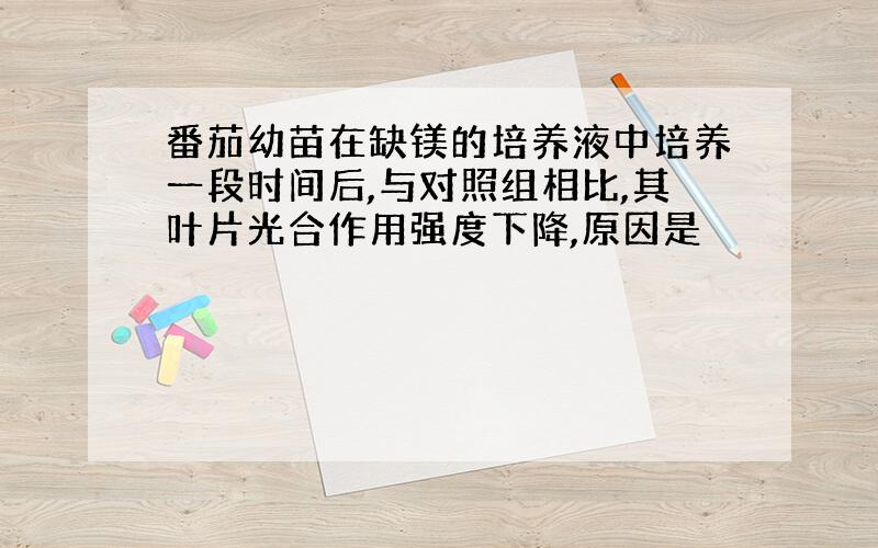 番茄幼苗在缺镁的培养液中培养一段时间后,与对照组相比,其叶片光合作用强度下降,原因是