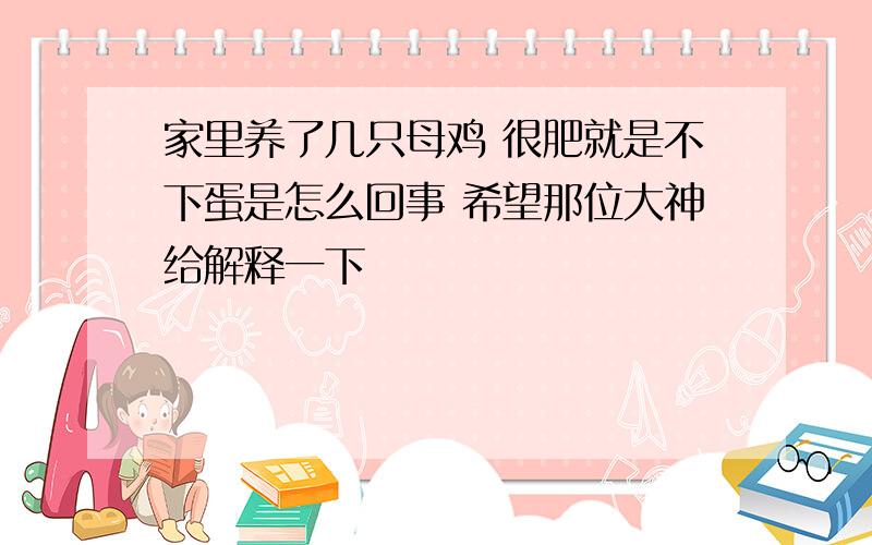 家里养了几只母鸡 很肥就是不下蛋是怎么回事 希望那位大神给解释一下