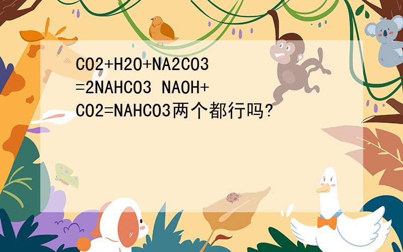 CO2+H2O+NA2CO3=2NAHCO3 NAOH+CO2=NAHCO3两个都行吗?