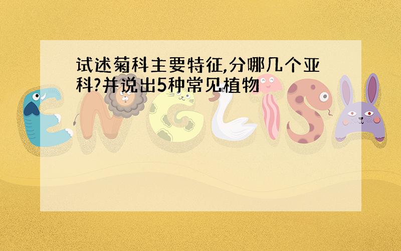 试述菊科主要特征,分哪几个亚科?并说出5种常见植物