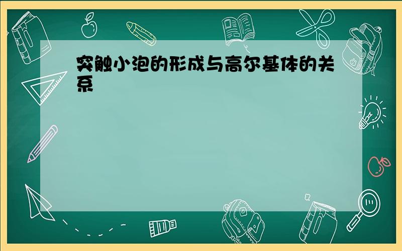 突触小泡的形成与高尔基体的关系