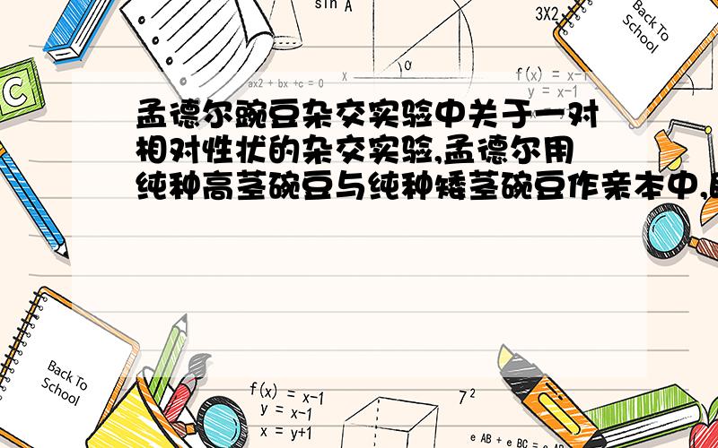 孟德尔豌豆杂交实验中关于一对相对性状的杂交实验,孟德尔用纯种高茎碗豆与纯种矮茎碗豆作亲本中,既用高茎碗豆作母本（正交）又