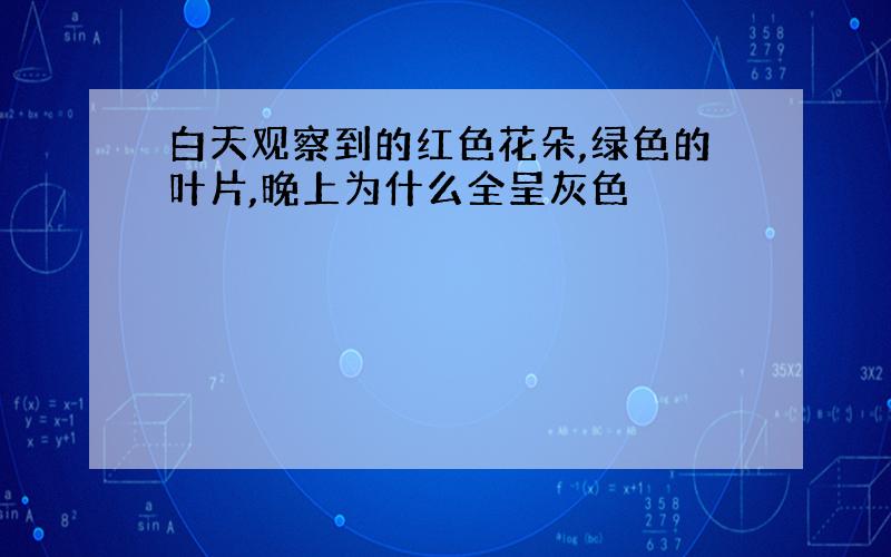 白天观察到的红色花朵,绿色的叶片,晚上为什么全呈灰色