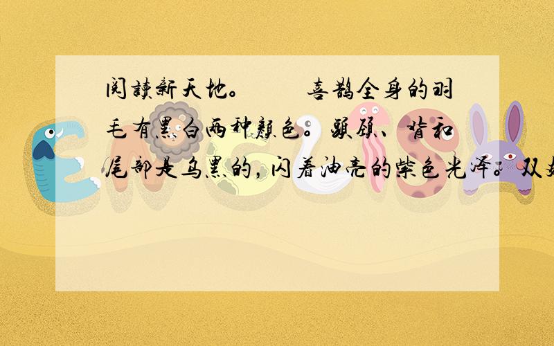 阅读新天地。　　喜鹊全身的羽毛有黑白两种颜色。头颈、背和尾部是乌黑的，闪着油亮的紫色光泽。双翅和腹