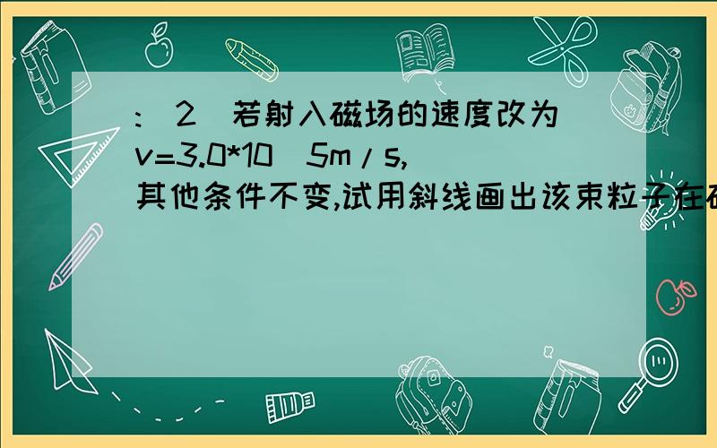 :（2）若射入磁场的速度改为v=3.0*10^5m/s,其他条件不变,试用斜线画出该束粒子在磁场中可能出现的区域,要求有