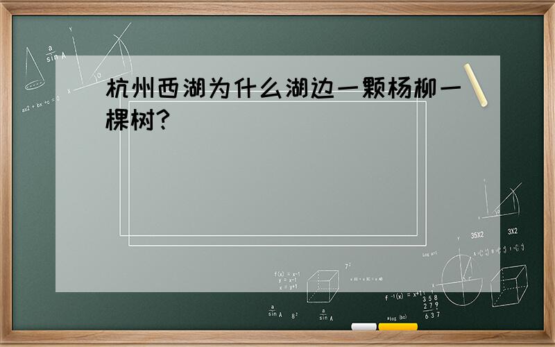 杭州西湖为什么湖边一颗杨柳一棵树?