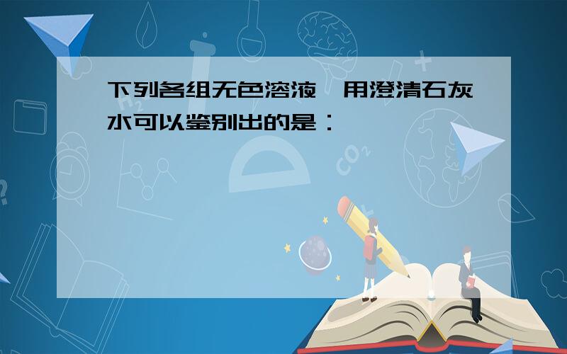 下列各组无色溶液,用澄清石灰水可以鉴别出的是：