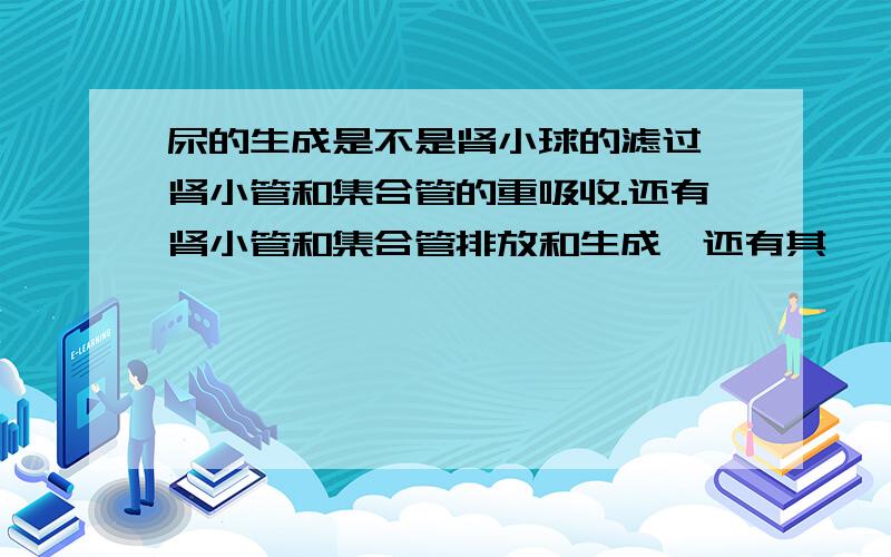 尿的生成是不是肾小球的滤过,肾小管和集合管的重吸收.还有肾小管和集合管排放和生成,还有其