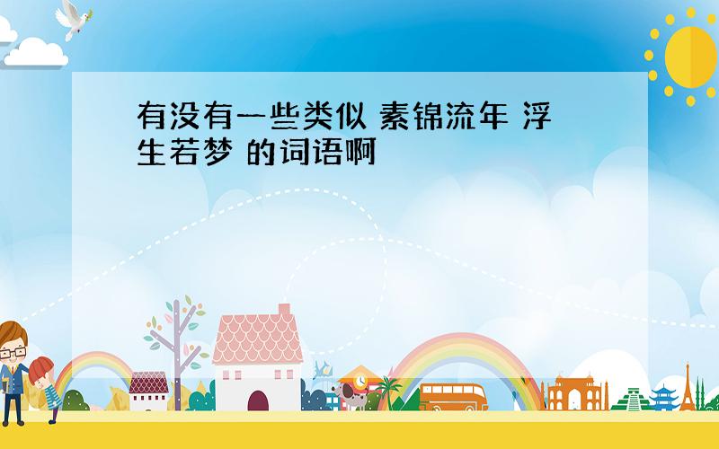 有没有一些类似 素锦流年 浮生若梦 的词语啊