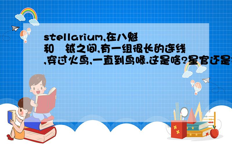 stellarium,在八魁和鈇钺之间,有一组很长的连线,穿过火鸟,一直到鸟喙.这是啥?星官还是错误连线