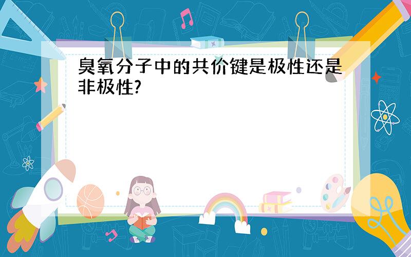 臭氧分子中的共价键是极性还是非极性?