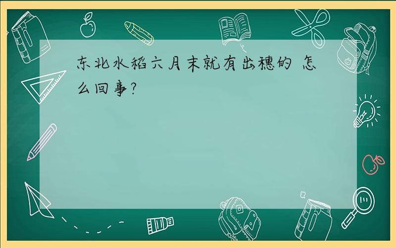 东北水稻六月末就有出穗的 怎么回事?