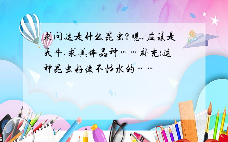 求问这是什么昆虫?嗯,应该是天牛,求具体品种……补充：这种昆虫好像不怕水的……