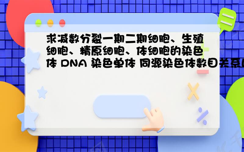 求减数分裂一期二期细胞、生殖细胞、精原细胞、体细胞的染色体 DNA 染色单体 同源染色体数目关系比较