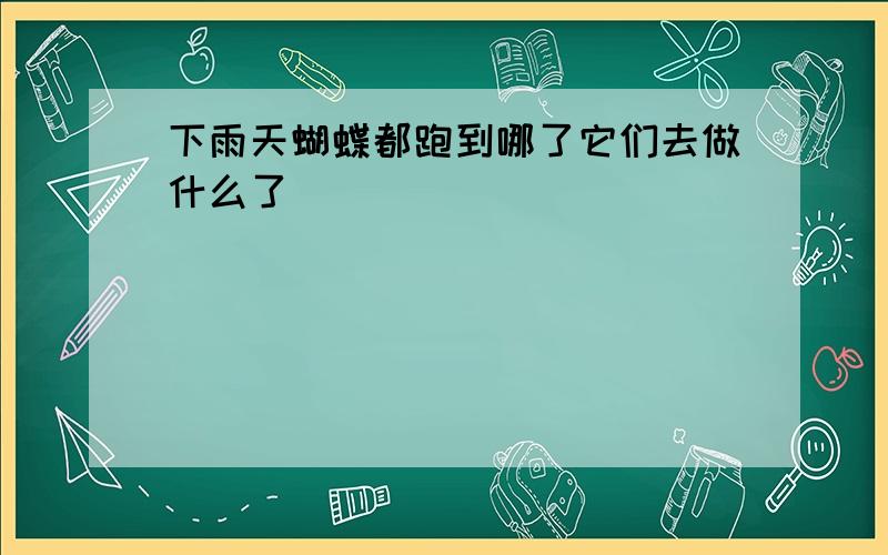 下雨天蝴蝶都跑到哪了它们去做什么了