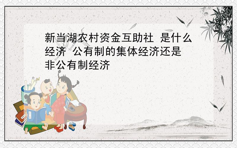 新当湖农村资金互助社 是什么经济 公有制的集体经济还是 非公有制经济