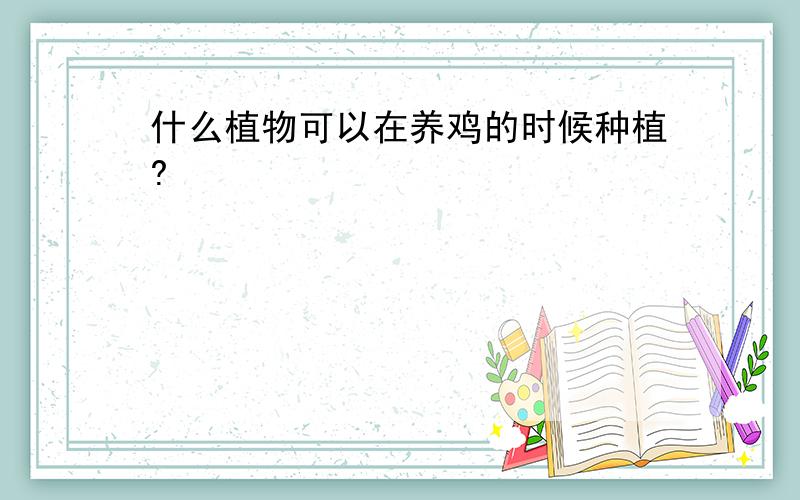 什么植物可以在养鸡的时候种植?