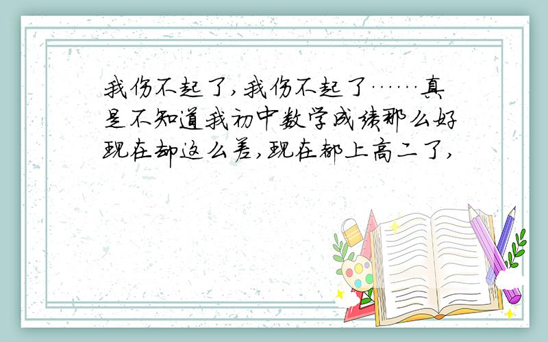 我伤不起了,我伤不起了……真是不知道我初中数学成绩那么好现在却这么差,现在都上高二了,