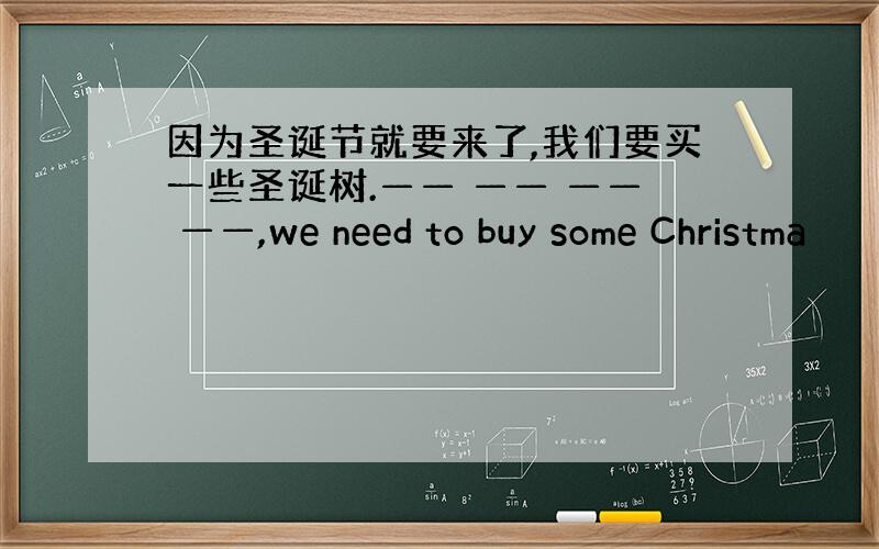 因为圣诞节就要来了,我们要买一些圣诞树.—— —— —— ——,we need to buy some Christma