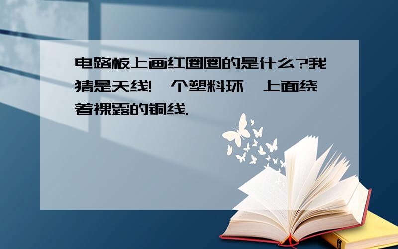 电路板上画红圈圈的是什么?我猜是天线!一个塑料环,上面绕着裸露的铜线.