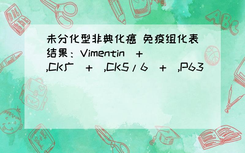 未分化型非典化癌 免疫组化表结果：Vimentin（+）,CK广（+）,CK5/6（+）,P63（