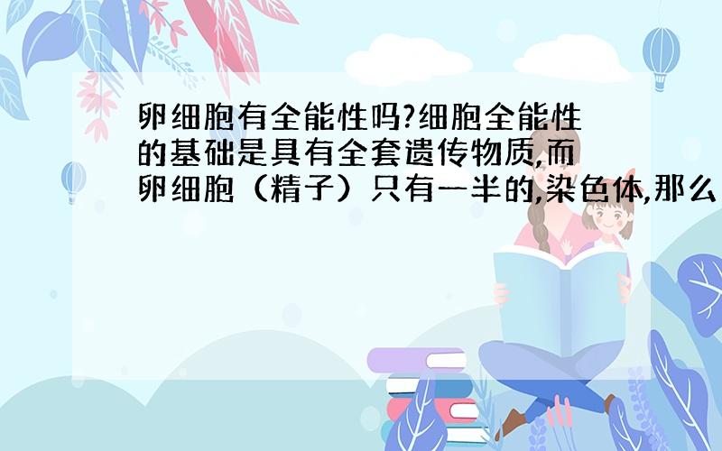 卵细胞有全能性吗?细胞全能性的基础是具有全套遗传物质,而卵细胞（精子）只有一半的,染色体,那么它为什么有全能性呢?而且还