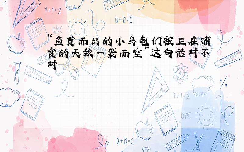 “鱼贯而出的小乌龟们被正在捕食的天敌一袭而空”这句话对不对