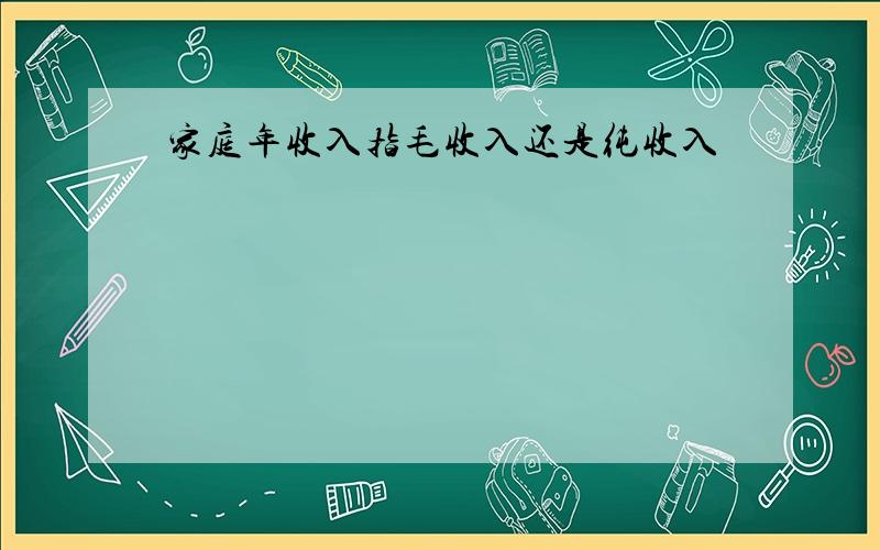 家庭年收入指毛收入还是纯收入