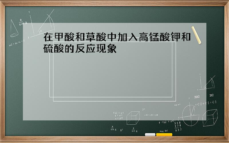 在甲酸和草酸中加入高锰酸钾和硫酸的反应现象