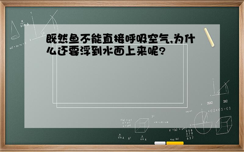 既然鱼不能直接呼吸空气,为什么还要浮到水面上来呢?