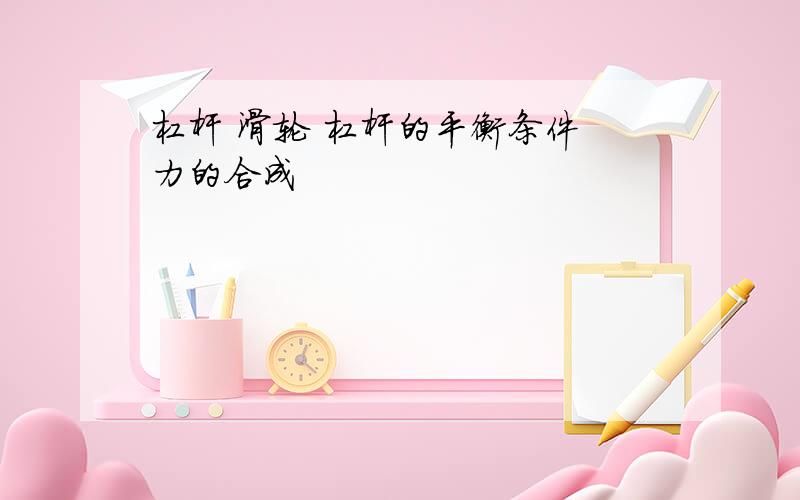 杠杆 滑轮 杠杆的平衡条件 力的合成