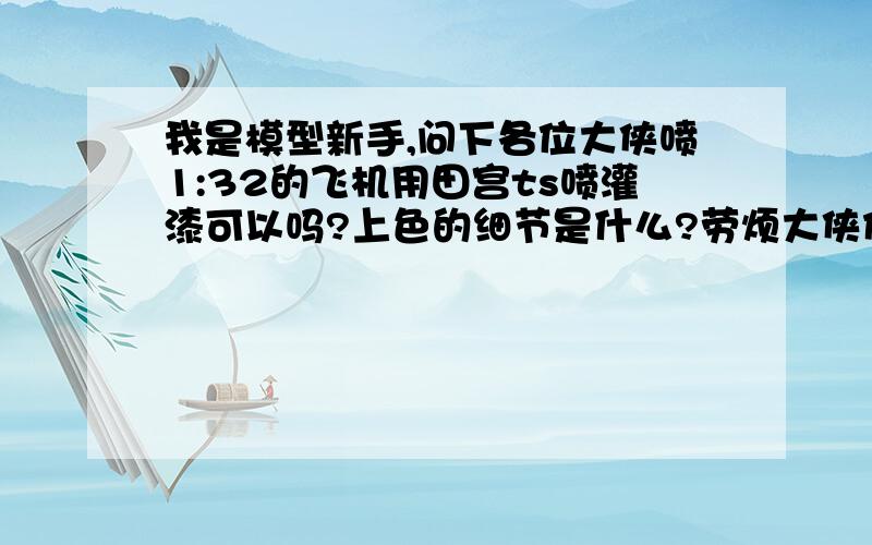 我是模型新手,问下各位大侠喷1:32的飞机用田宫ts喷灌漆可以吗?上色的细节是什么?劳烦大侠们解答