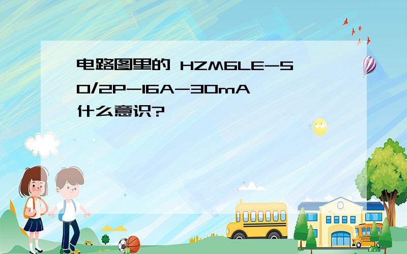 电路图里的 HZM6LE-50/2P-16A-30mA 什么意识?