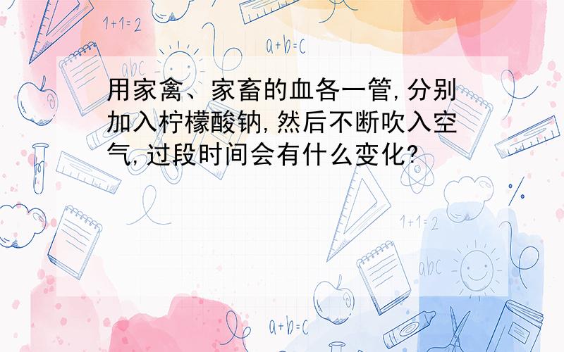 用家禽、家畜的血各一管,分别加入柠檬酸钠,然后不断吹入空气,过段时间会有什么变化?