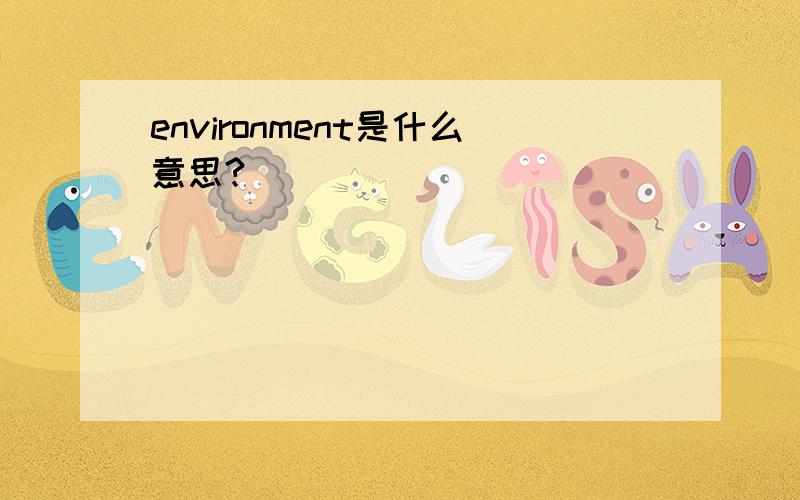 environment是什么意思?