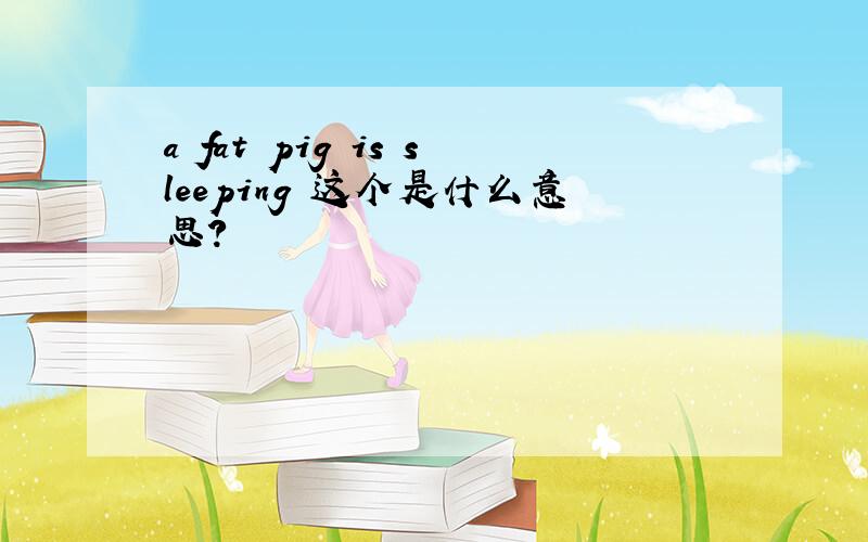 a fat pig is sleeping 这个是什么意思？