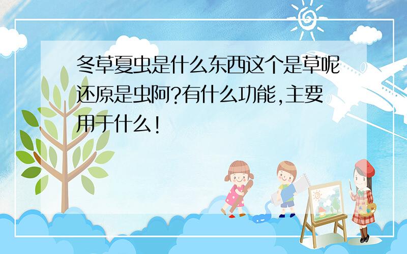 冬草夏虫是什么东西这个是草呢还原是虫阿?有什么功能,主要用于什么!