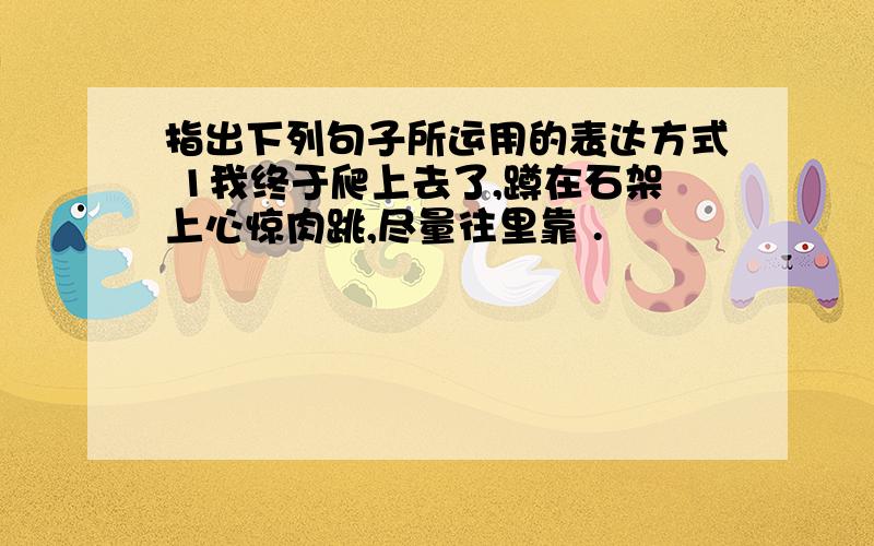 指出下列句子所运用的表达方式 1我终于爬上去了,蹲在石架上心惊肉跳,尽量往里靠 .