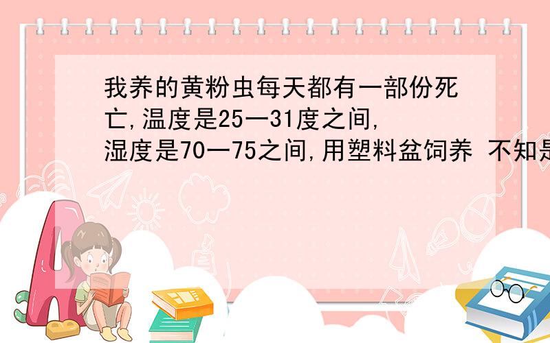 我养的黄粉虫每天都有一部份死亡,温度是25一31度之间,湿度是70一75之间,用塑料盆饲养 不知是否跟塑料...