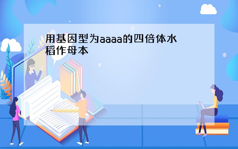 用基因型为aaaa的四倍体水稻作母本