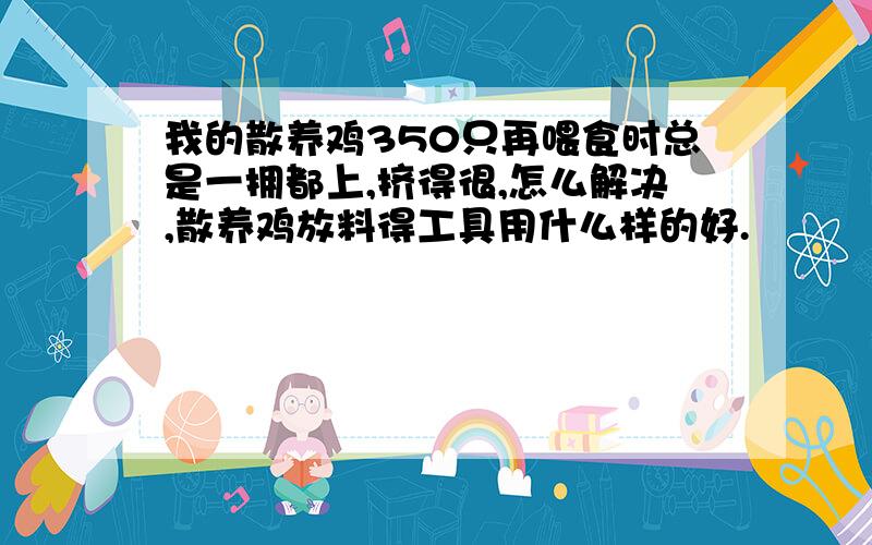 我的散养鸡350只再喂食时总是一拥都上,挤得很,怎么解决,散养鸡放料得工具用什么样的好.